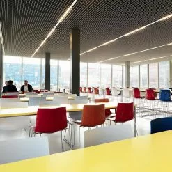 Arper Catifa 46 0278 Stuhl Einfarbig Kufe Chrom 31 Arper Catifa 46 0278 Stuhl Einfarbig Kufe Chrom -Möbel Verkaufsgeschäft Arper Catifa 46 0278 Stuhl einfarbig Kufe Chrom 886x886 ID1437385 9ebf1f0e63fb2696f81c592d8a21c711