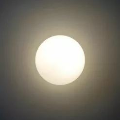 Artemide Dioscuri Parete Wandleuchte / Deckenleuchte 20 Artemide Dioscuri Parete Wandleuchte / Deckenleuchte -Möbel Verkaufsgeschäft Artemide Dioscuri Parete Wandleuchte Deckenleuchte 800x800 ID25611 65e4e97aabc5d9d7d8fccb39302ba040