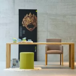 Jan Kurtz Leos Esstisch -Möbel Verkaufsgeschäft Jan Kurtz Leos Esstisch 2000x2000 ID1396349 7a69ee70f41f5ecba39f8cf29b2fb99b