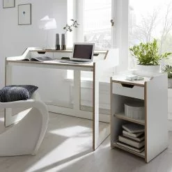 Müller Small Living Plane Rollcontainer 34x39x66cm -Möbel Verkaufsgeschäft Mueller Small Living Plane Rollcontainer 34x39x66cm 2000x2000 ID1779748 eac4ec25706f7d36326c67ed71183347