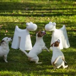 Serralunga Doggy Kinderstuhl -Möbel Verkaufsgeschäft Serralunga Doggy Kinderstuhl 2000x2000 ID1913275 1a19608d6fe4afd530fd7b1a71634d17