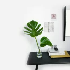 Skagerak Georg Konsolentisch 10 Skagerak Georg Konsolentisch -Möbel Verkaufsgeschäft Skagerak Georg Konsolentisch 1500x1500 ID560547 50b499b7a83741fdfe4be8feb2774f45