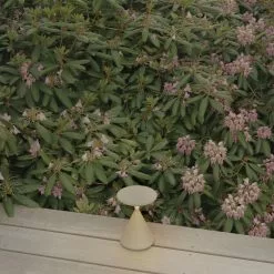 Tobias Grau Salt & Pepper LED Tischleuchte Mit Akku -Möbel Verkaufsgeschäft Tobias Grau Salt Pepper LED Tischleuchte mit Akku 2000x2000 ID1957466 3b4b31b9f891dee8b34e3be8cf91d82e