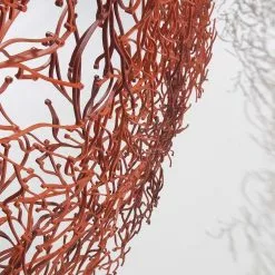 Vitra Algue Raumteiler 25tlg. -Möbel Verkaufsgeschäft Vitra Algue Raumteiler 25tlg 993x993 ID120912 8459eb2ecc4c7aa1e1206575d0c2e7e2