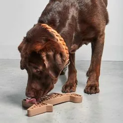 MiaCara Volpe Beschäftigungsspielzeug Für Hunde -Möbel Verkaufsgeschäft none 1149x1149 ID2040043 7797a6b9e0ffe70a283d6c7065bb4ca9