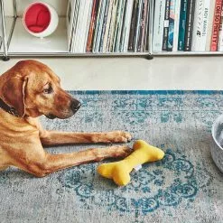 MiaCara Stella Hundespielzeug Knochen 24 MiaCara Stella Hundespielzeug Knochen -Möbel Verkaufsgeschäft none 1364x1364 ID2039959 d1ea9d4e2b0d5232d66c14f53ed54dc3