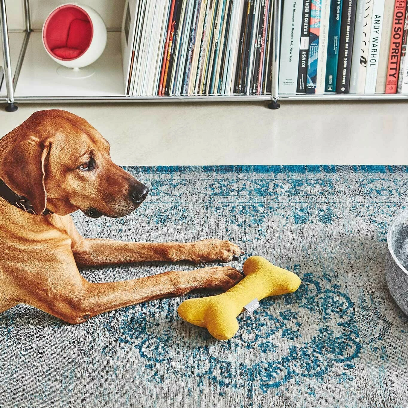 MiaCara Stella Hundespielzeug Knochen 6 MiaCara Stella Hundespielzeug Knochen – Bild 4