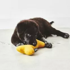 MiaCara Stella Hundespielzeug Knochen 25 MiaCara Stella Hundespielzeug Knochen -Möbel Verkaufsgeschäft none 1364x1364 ID2039960 61b91955a91624fd5db02959770f9b11