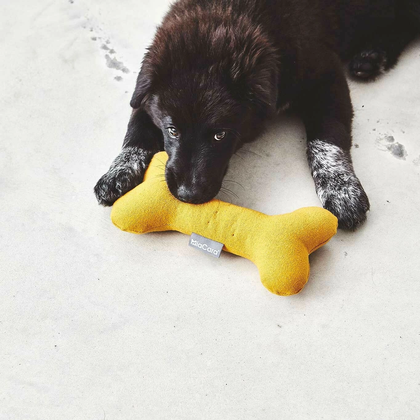 MiaCara Stella Hundespielzeug Knochen 8 MiaCara Stella Hundespielzeug Knochen – Bild 6