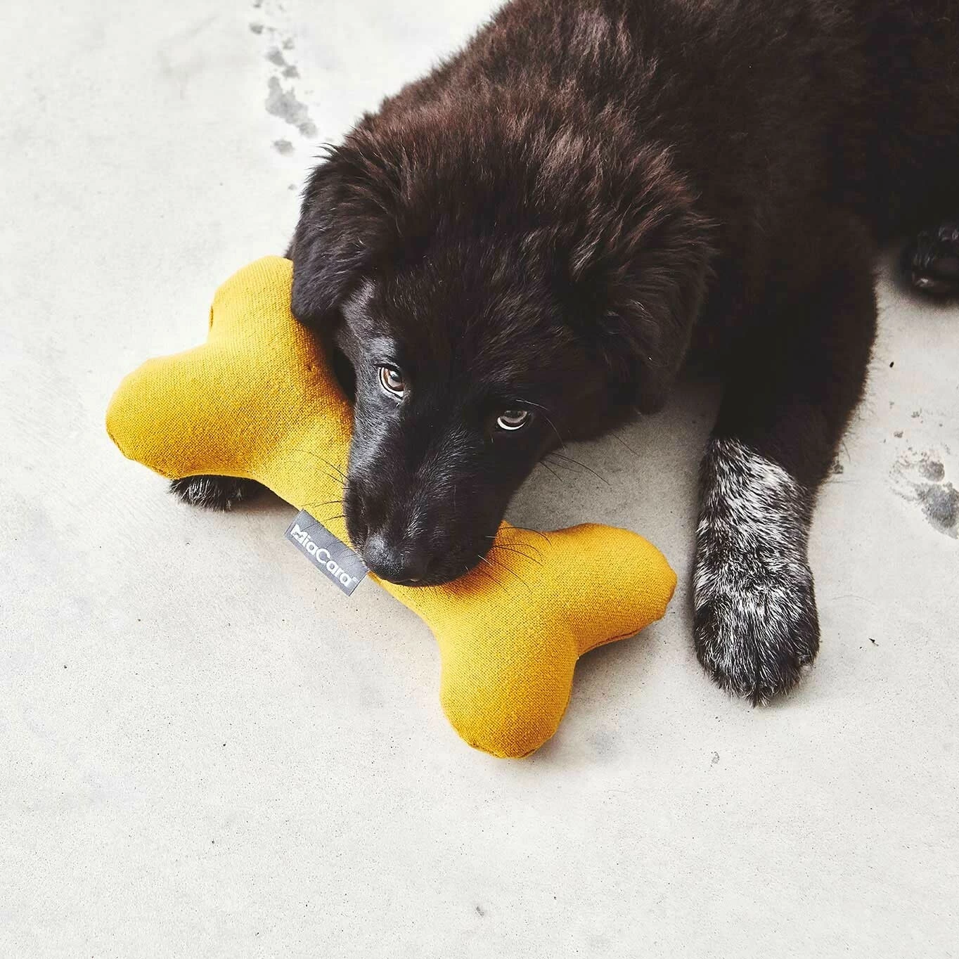 MiaCara Stella Hundespielzeug Knochen 9 MiaCara Stella Hundespielzeug Knochen – Bild 7