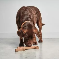 MiaCara Volpe Beschäftigungsspielzeug Für Hunde -Möbel Verkaufsgeschäft none 1365x1365 ID2040042 c8d66ce8b5eda3e8c524fb24b57fbb6e