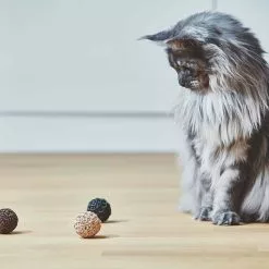 MiaCara Filo Katzenspielzeug Ball 3er Set -Möbel Verkaufsgeschäft none 1375x1375 ID2041714 c9b415793e206b37c0cc996040870168