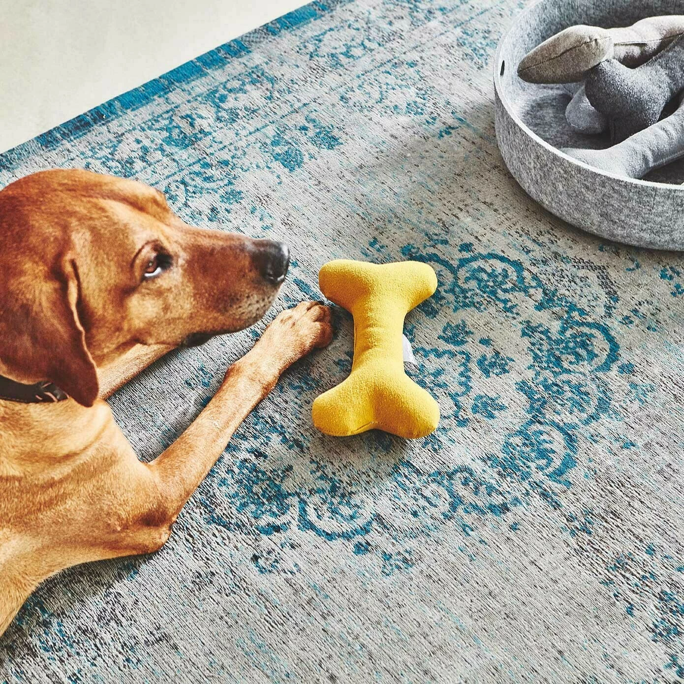 MiaCara Stella Hundespielzeug Knochen 5 MiaCara Stella Hundespielzeug Knochen – Bild 3