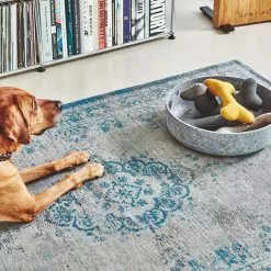 MiaCara Stella Hundespielzeug Knochen 32 MiaCara Stella Hundespielzeug Knochen -Möbel Verkaufsgeschäft none 1390x1390 ID2039967 22101658fe5681007e2e1a75944f2757