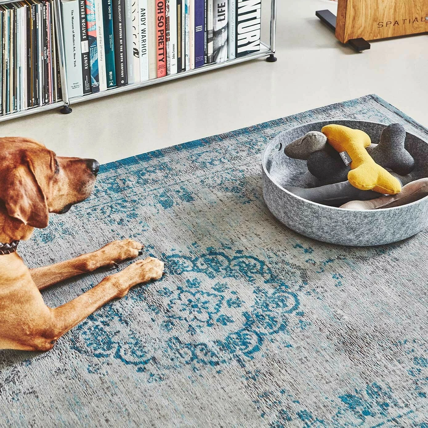 MiaCara Stella Hundespielzeug Knochen 14 MiaCara Stella Hundespielzeug Knochen – Bild 12