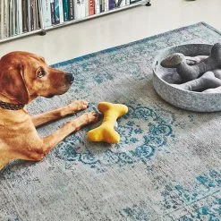 MiaCara Stella Hundespielzeug Knochen 33 MiaCara Stella Hundespielzeug Knochen -Möbel Verkaufsgeschäft none 1390x1390 ID2039968 f96b5c13c84c32b1d4d5d80c4f674d23