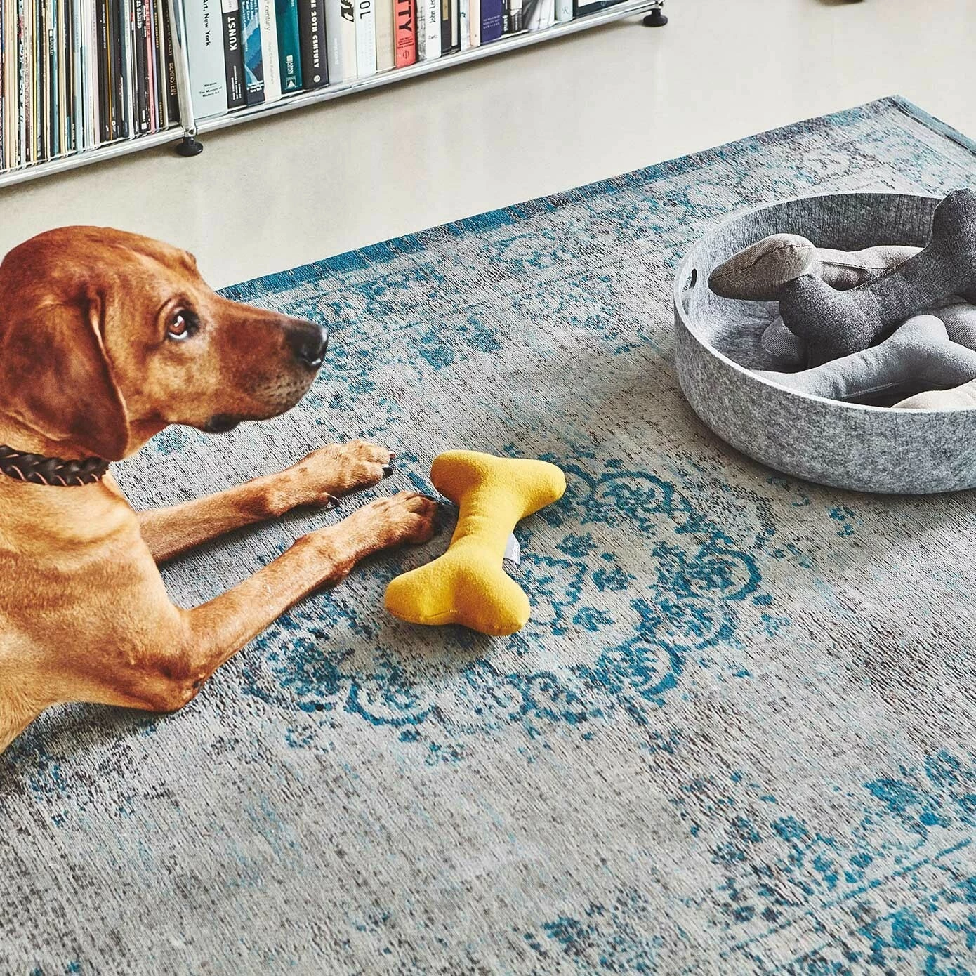 MiaCara Stella Hundespielzeug Knochen 15 MiaCara Stella Hundespielzeug Knochen – Bild 13