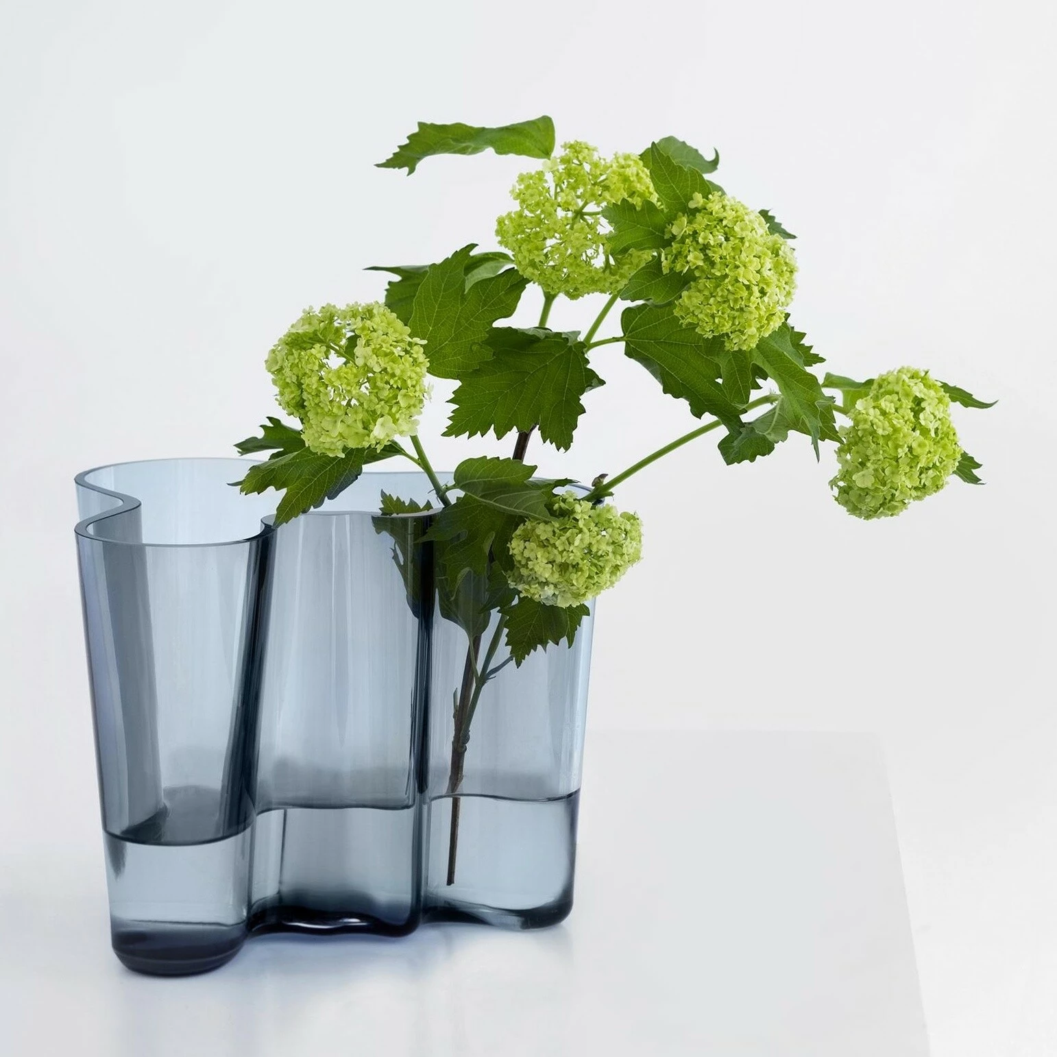 Iittala Alvar Aalto Vase 160mm 14 Iittala Alvar Aalto Vase 160mm – Bild 12